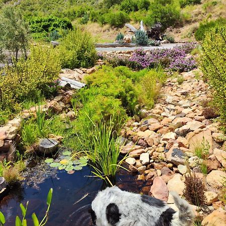 Roodekloof Διαμέρισμα Montagu Εξωτερικό φωτογραφία