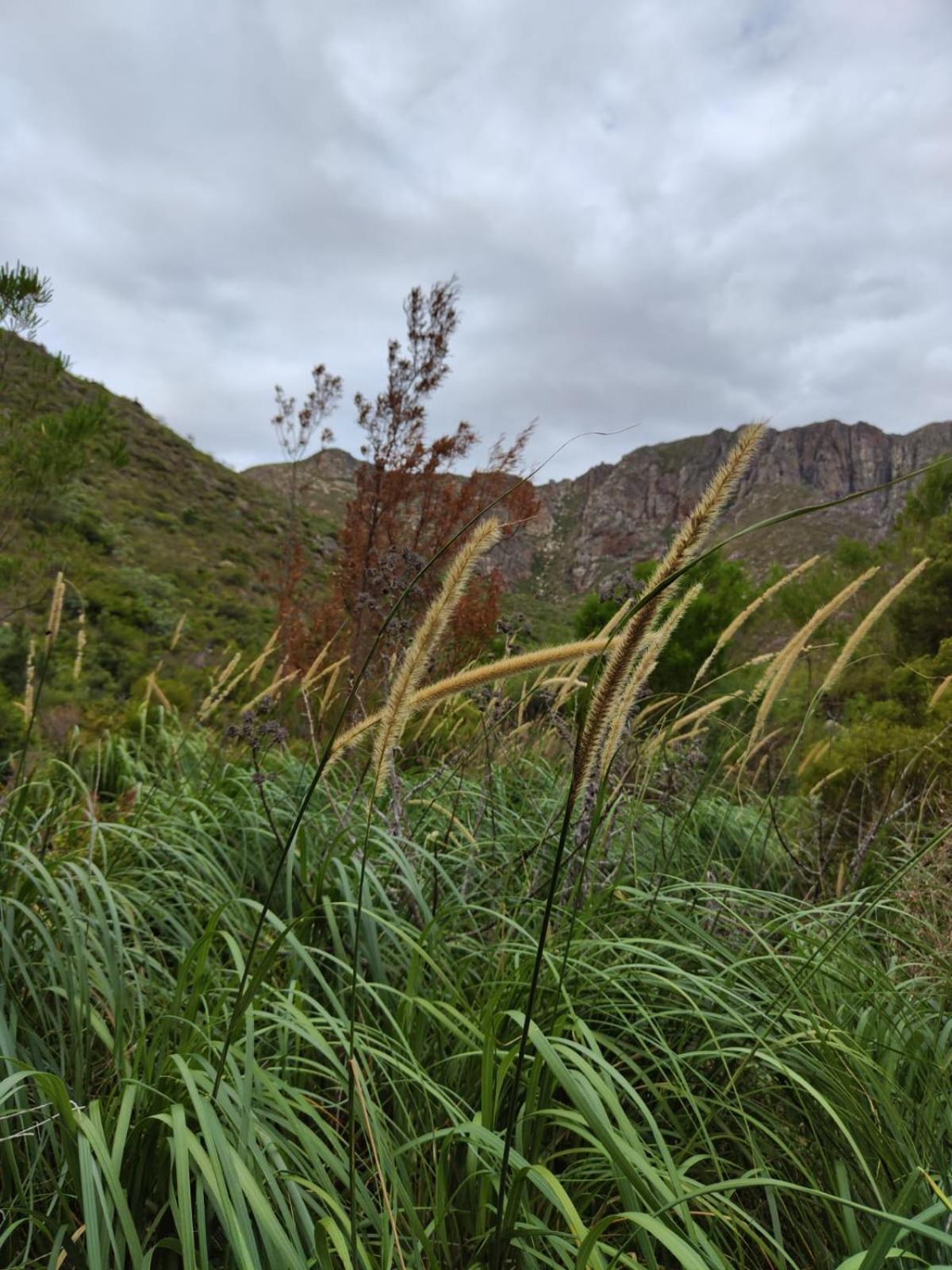 Roodekloof Διαμέρισμα Montagu Εξωτερικό φωτογραφία