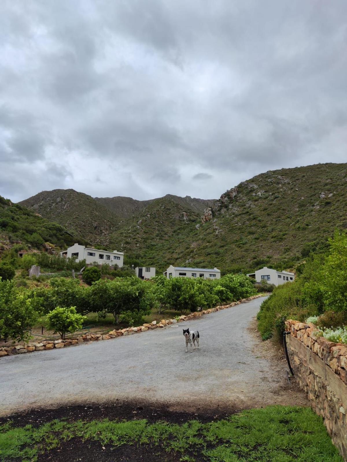 Roodekloof Διαμέρισμα Montagu Εξωτερικό φωτογραφία